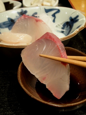 kikuura20100428-005.JPG