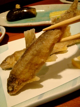 rakumi20080625-010.JPG