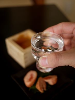 houshito20110301-007.JPG