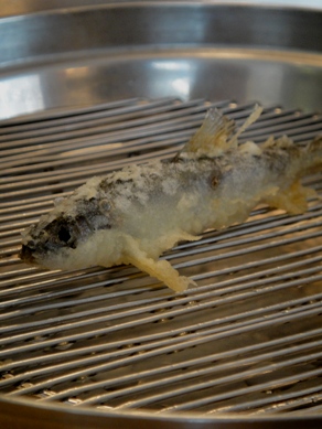 yamanoue20100331-011.JPG
