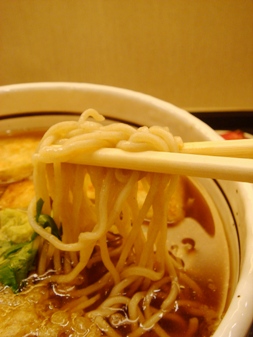 yamaneko20080115-004