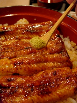 nobori20080602-004.JPG