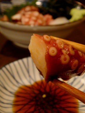 gakuya20090403-009.JPG