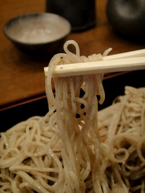 tanaka20100406-008.JPG