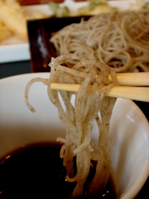 sekishin20090330-006.JPG