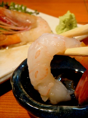 tobusakana20081126-005.JPG