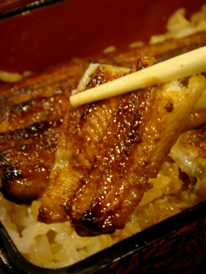 fujita20090128-008.JPG