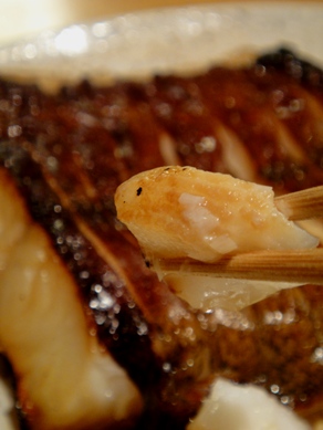 kikuura20100428-007.JPG