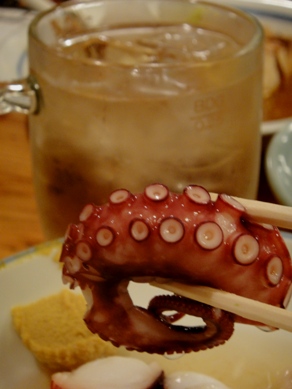 masumoto20100309-008.JPG