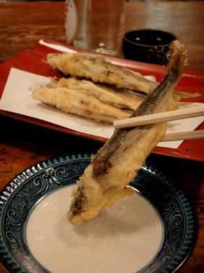 taimeian20100518-003