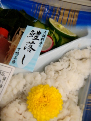 shimogamo20080723-001.JPG