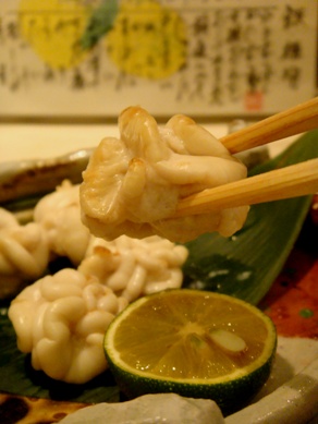 okada20090203-012.JPG