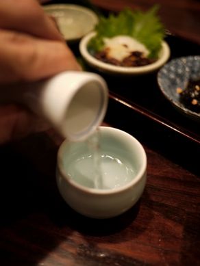 kawasemi20110602-005.JPG