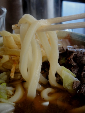 higashiura20100419-008.JPG