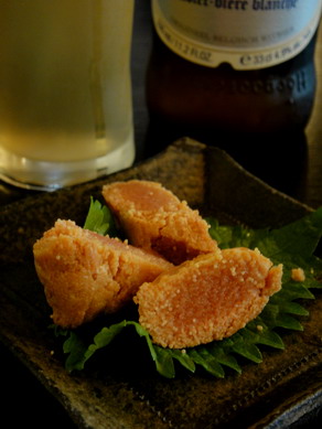 houshito20100224-003.jpg
