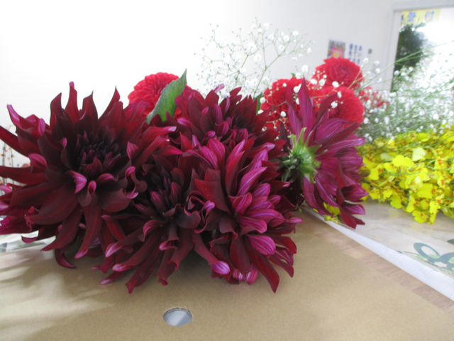 綺麗なお花が仲間入り さわやかダイアリー