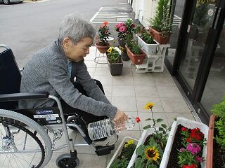 IMG_1087 (2)