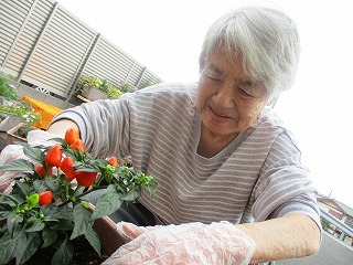 s-IMG_2552