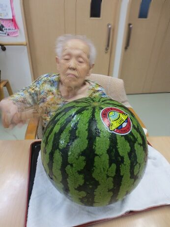 ²Æ¤Þ¤Ä¤ê²¬Â¼ÍÍ´ñ¹Ô 165