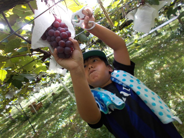 DSCN6294