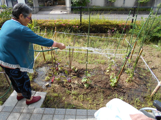 DSCN0022