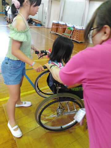 IMG_20240616_100743