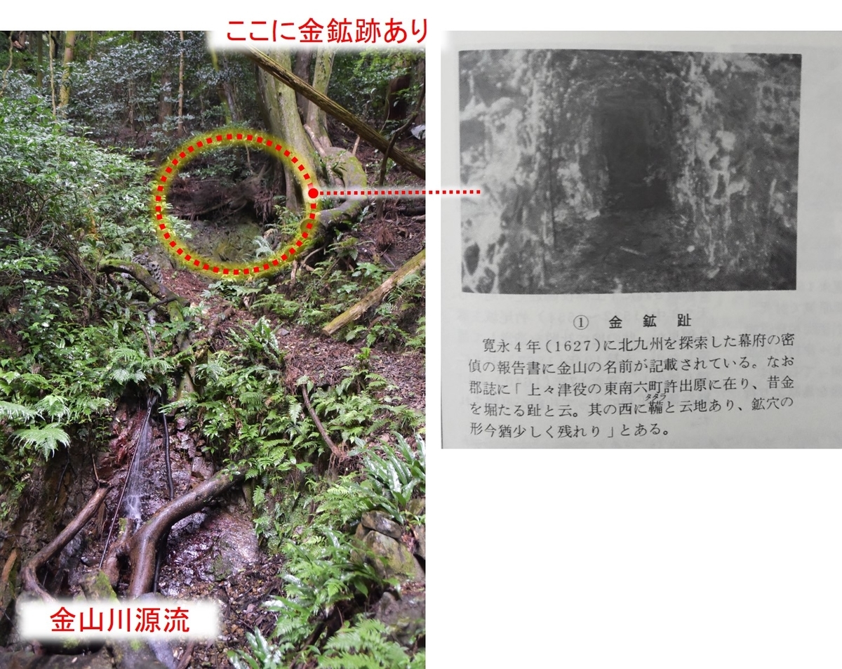 金山川の名前の由来となった場所 利用者様のおはなし さわやかダイアリー