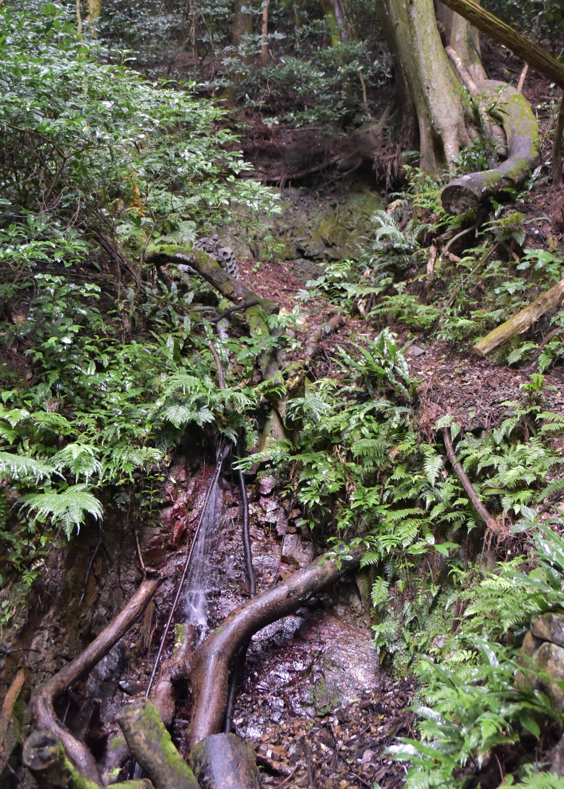 金山川の名前の由来となった場所 利用者様のおはなし さわやかダイアリー