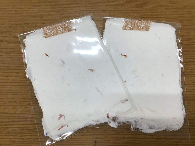 2E309CF8-2ED1-4B0A-AD51-458EDCD1D5CC