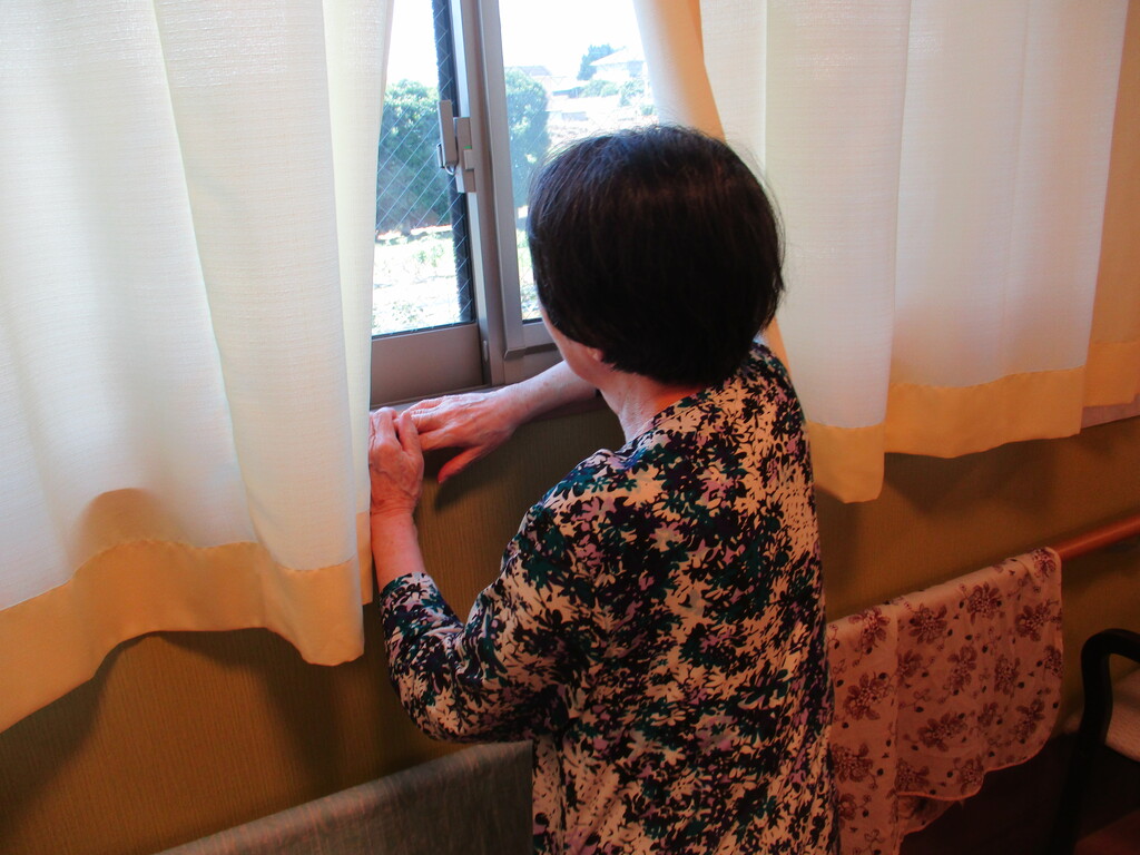 外を覗いてるのは さわやかダイアリー