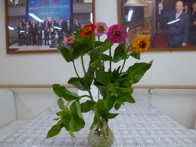 P1290132
