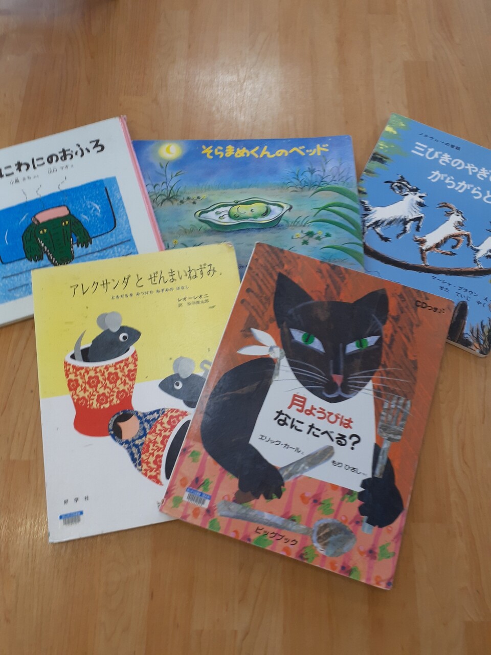 大型絵本📖を見たよ☺️ : さわやかダイアリー