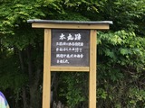 9FA633F5-7E32-4328-91F4-B98B81592084