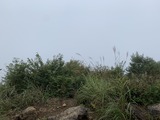 20467830-D041-46D8-9BD8-204E74C79352