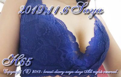 エメフィール_カシュクール_脇高ブラ_H65_20191106