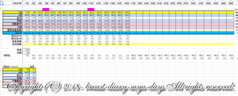 バストアップ_コンサル_1year_4