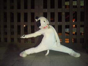 日光 鬼怒川旅物語 上 O茶の水元女子大生の上京日記