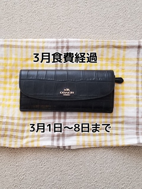 ひとりとちわわん のんびり暮らす