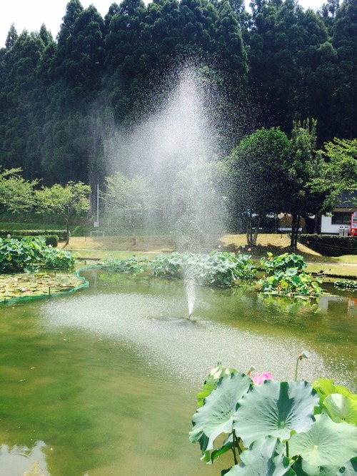 2015-08-10-11-07-34