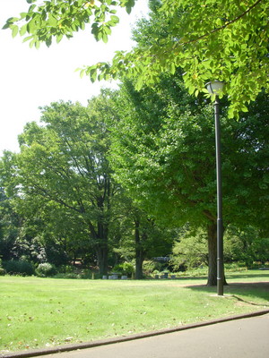 DSCN2583
