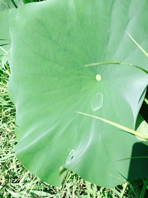 2015-08-10-10-57-09