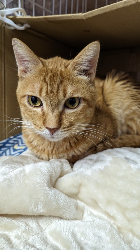 PXL_20240331_093730117