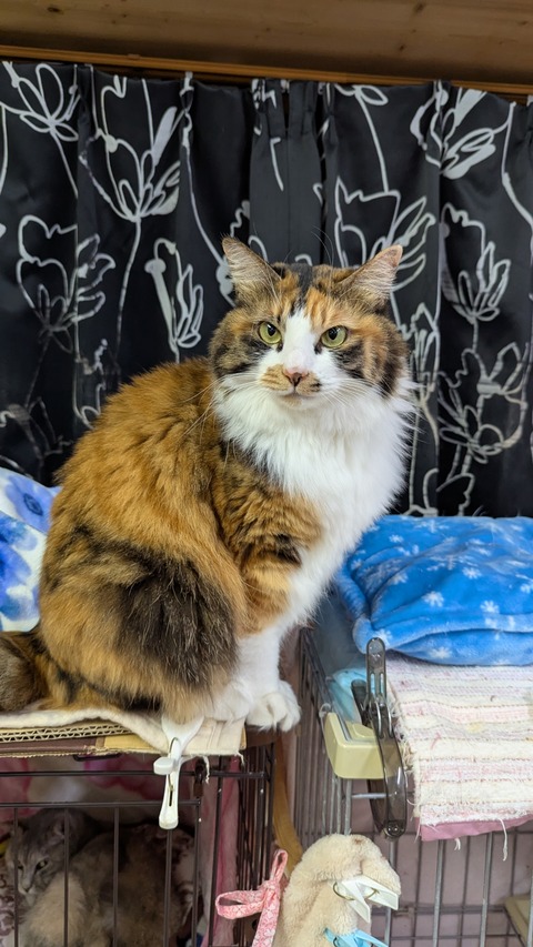 PXL_20241214_082726449