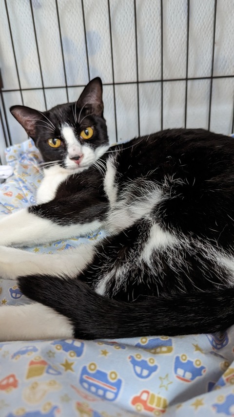 PXL_20230610_040212209