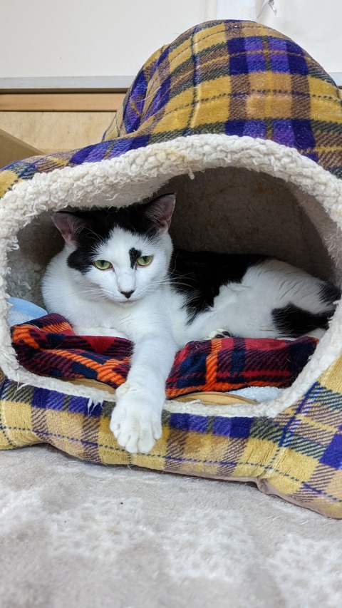 PXL_20221208_093009109