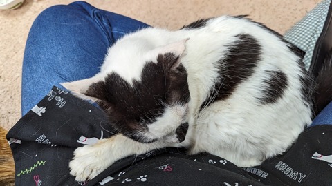 PXL_20240525_071614807