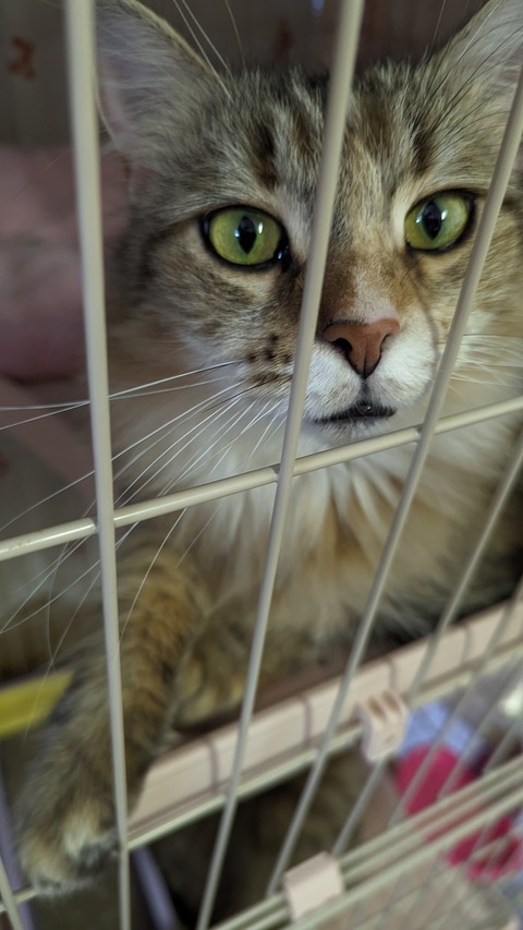 PXL_20221203_083315763