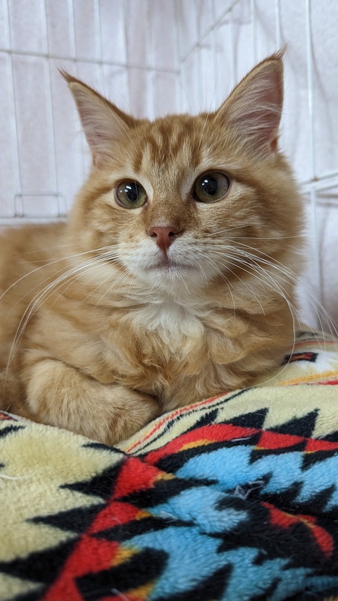 PXL_20221204_091414922