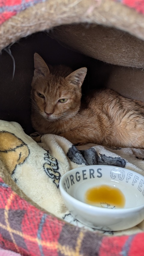 PXL_20250427_035341239