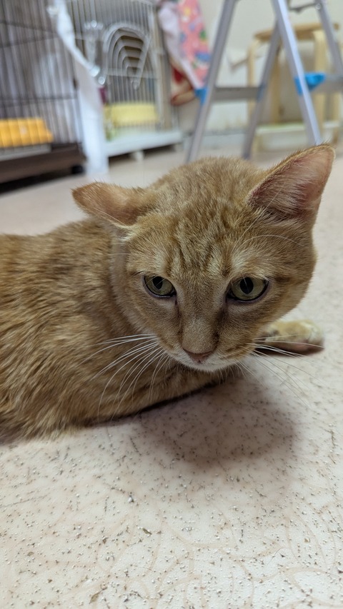 PXL_20241124_085700094